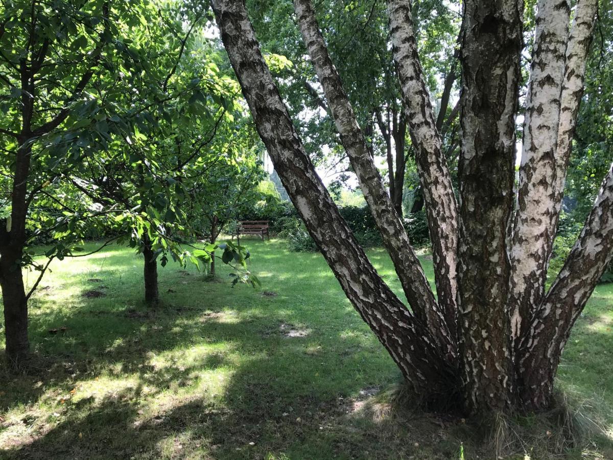 Pokoje Pod Debami Kazimierz Dolny Esterno foto