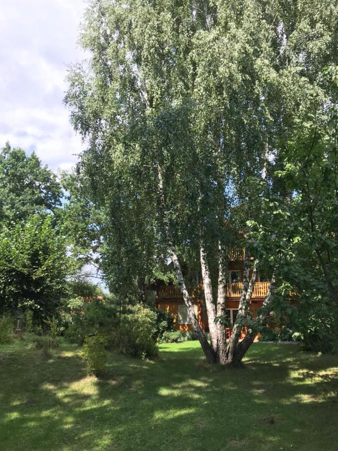 Pokoje Pod Debami Kazimierz Dolny Esterno foto