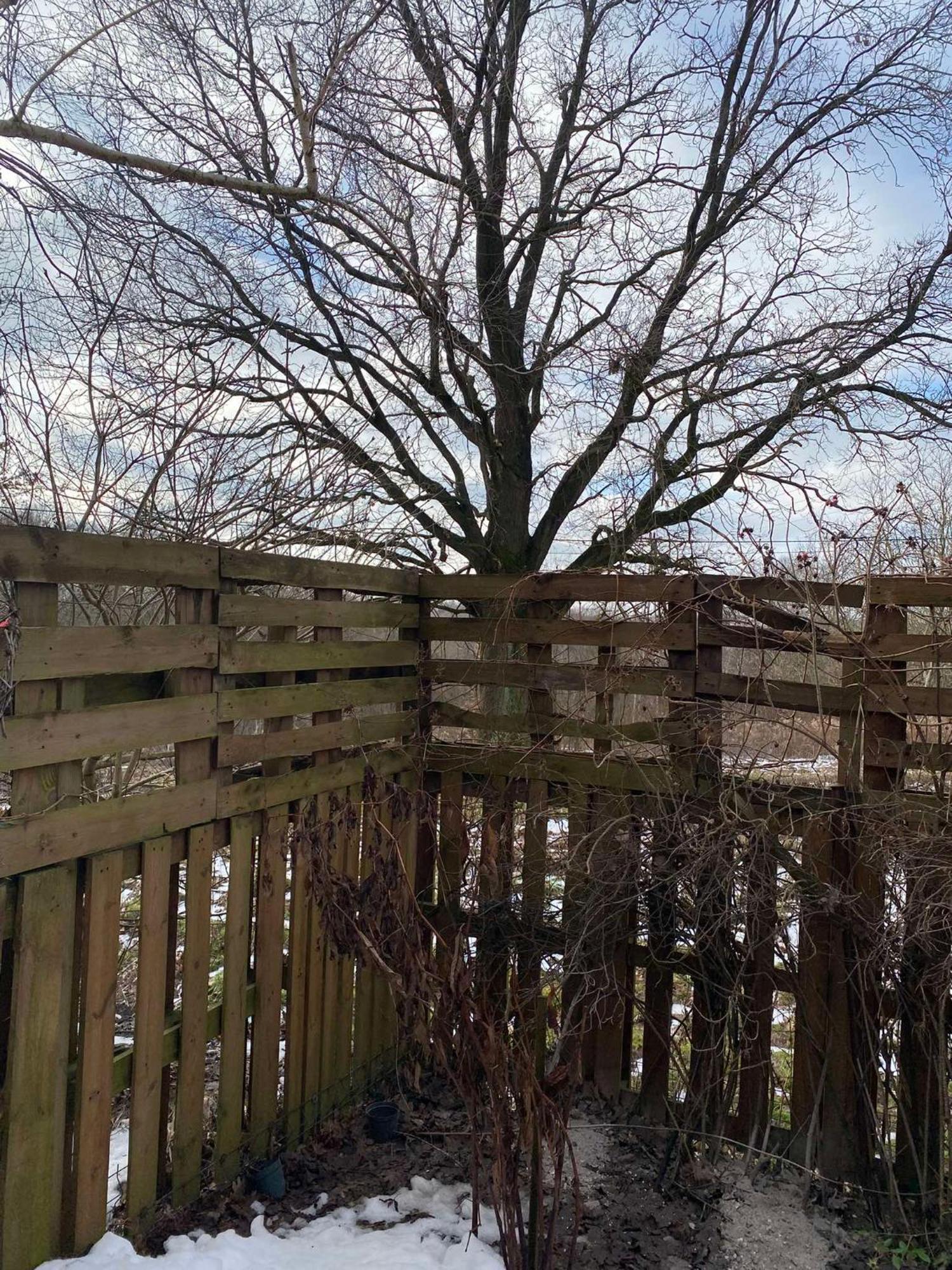 Pokoje Pod Debami Kazimierz Dolny Esterno foto